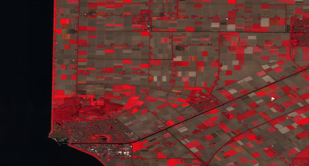 Example PNG: false color composite highlighting vegetation in red.